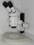 Leica MZ5 Mikroskop