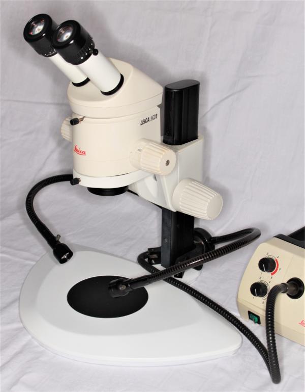Leica MZ6 ZOOM Stereomikroskop mit Kaltlichtbeleuchtung