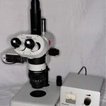 Makroskope