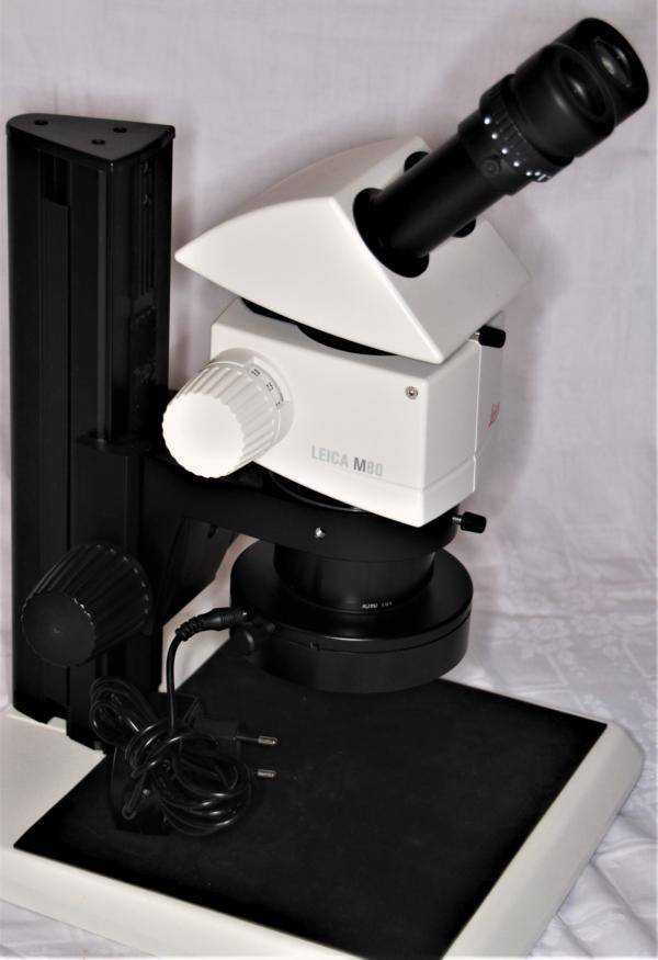 Leica M80 ZOOM Stereomikroskop mit LED Beleuchtung