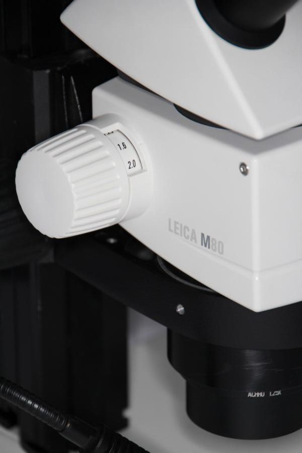 Leica M80 ZOOM Stereomikroskop mit LED Beleuchtung
