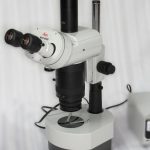 Leica M420 APOZOOM Makroskop mit Polarisation und Phototubus