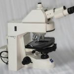 Zeiss Axioskop 2 mit Neofluaren, Ergotrinokulartubus, Photo Option und Phasenkontrast